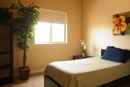 Methadone Addiction Rehab ProgramPulaski VA